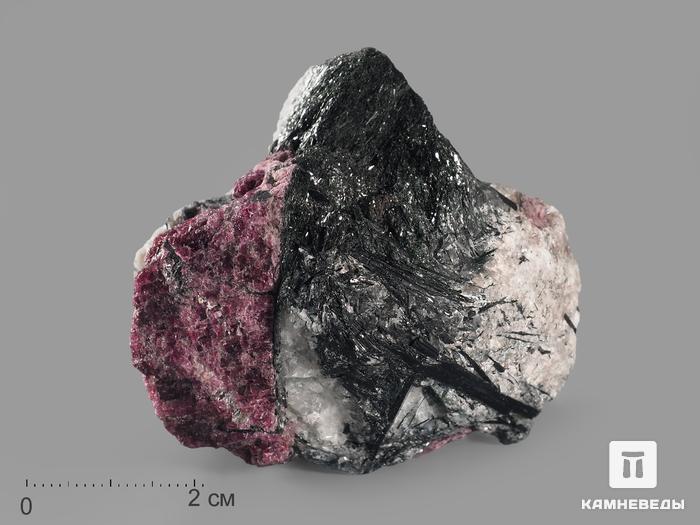 Эвдиалит с эгирином, 5,7х5,5х5,3 см, 20697, фото 1