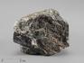 Шерл (чёрный турмалин), двухголовый кристалл в сланце 5,5х4,3х2,5 см, 20663, фото 1