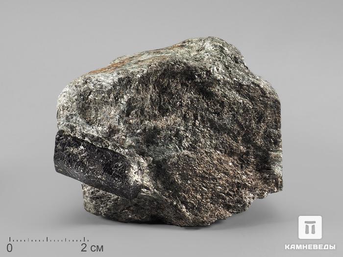 Шерл (чёрный турмалин), двухголовый кристалл в сланце 5,5х4,3х2,5 см, 20663, фото 1