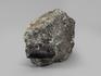 Шерл (чёрный турмалин), двухголовый кристалл в сланце 5,5х4,3х2,5 см, 20663, фото 2