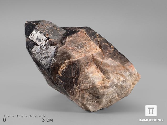 Дымчатый кварц (раухтопаз), кристалл 11х7,6х5,6 см, 20798, фото 2