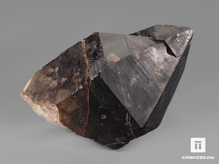 Дымчатый кварц (раухтопаз), кристалл 11х7,6х5,6 см, 20798, фото 1