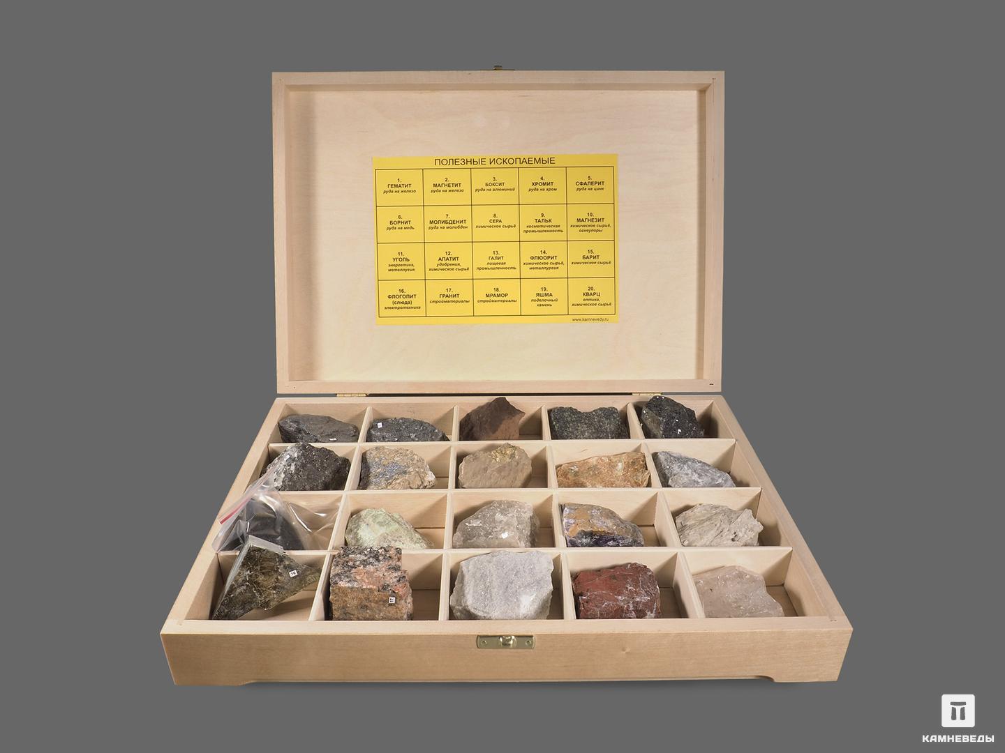 Коллекция полезных ископаемых (20 образцов, состав №1) в деревянной коробке систематическая коллекция минералов и разновидностей 30 образцов состав 1