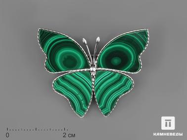 Малахит. Брошь «Бабочка» с малахитом, 3,8х3,2х0,2 см