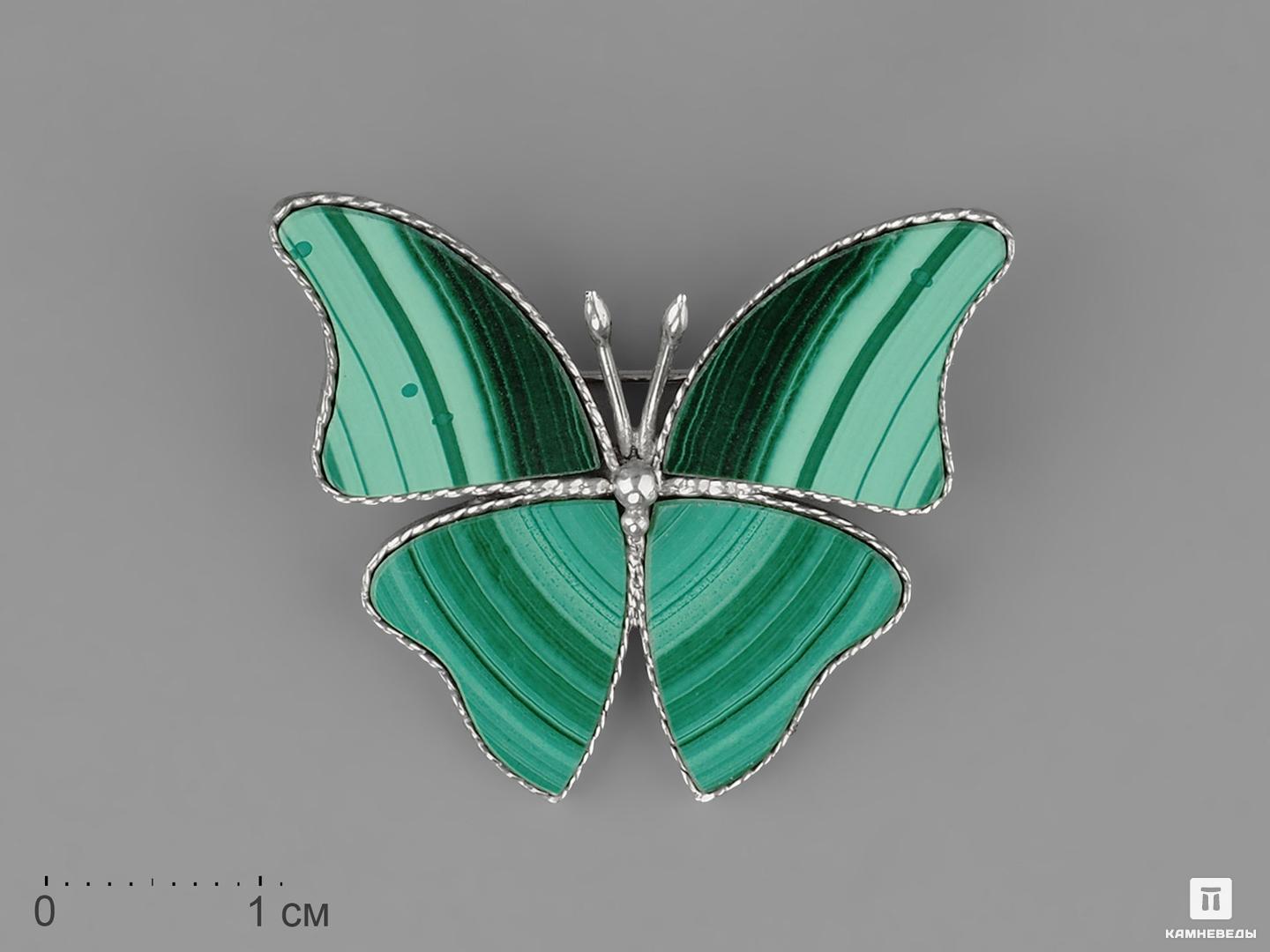 Брошь «Бабочка» с малахитом, 3,4х2,8х0,2 см 3d art панно раскраска бабочка