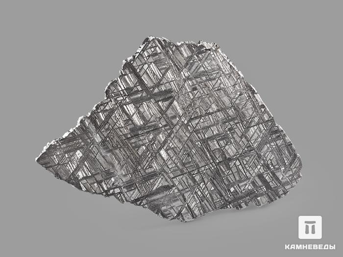 Метеорит Muonionalusta, пластина 12,8х8,3х0,2 см (92,9 г), 20912, фото 2