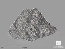 Метеорит Muonionalusta, пластина 12,8х8,3х0,2 см (92,9 г)