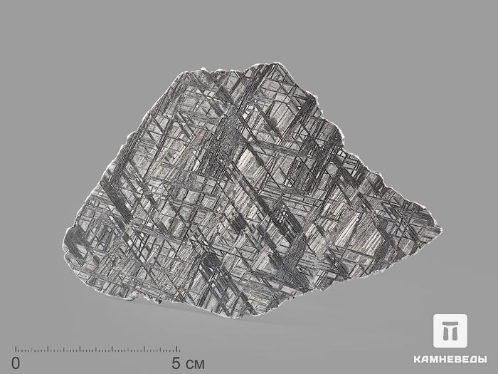 Метеорит Muonionalusta, пластина 12,8х8,3х0,2 см (92,9 г), 20912, фото 1