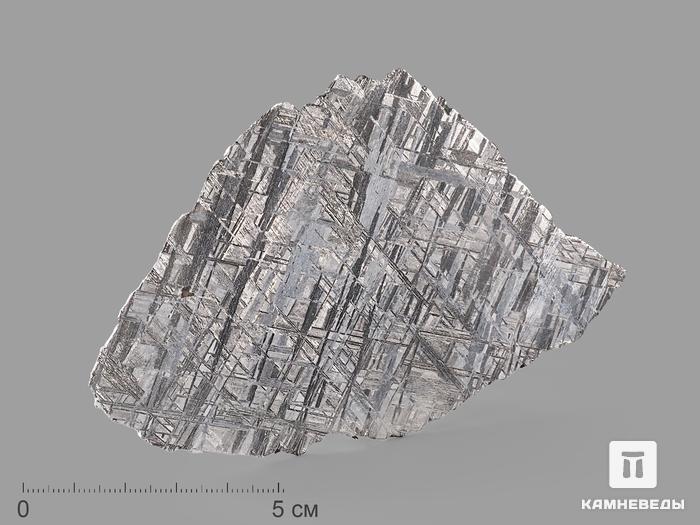 Метеорит Muonionalusta, пластина 12,7х7,7х0,2 см (77,1 г), 20915, фото 1