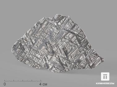 Метеориты. Метеорит Muonionalusta, пластина 12,8х7,7х0,2 см (75,6 г)