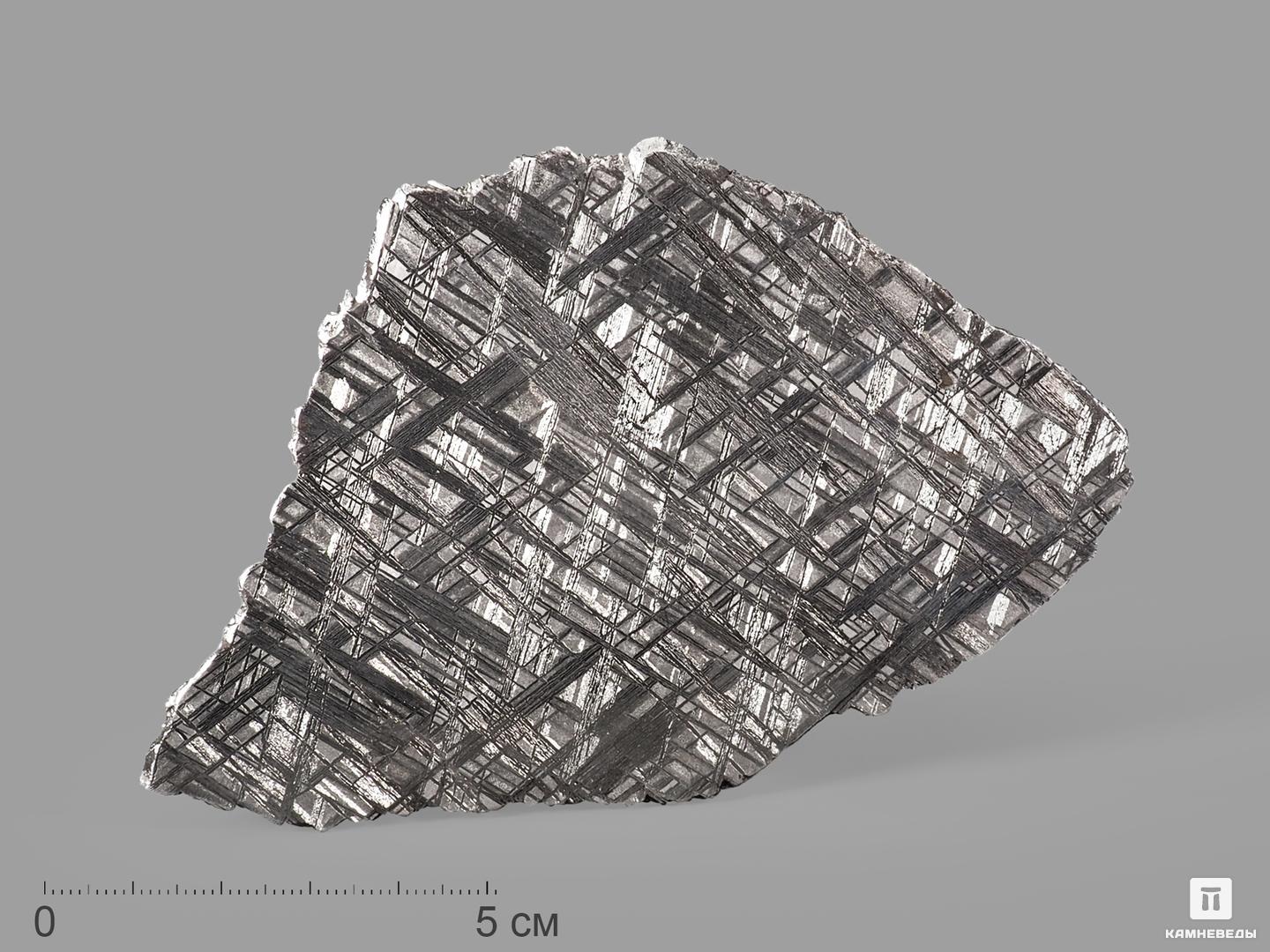 Метеорит Muonionalusta, пластина 12,9х8х0,2 см (81,9 г)