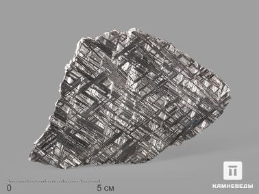Метеориты. Метеорит Muonionalusta, пластина 12,9х8х0,2 см (81,9 г)
