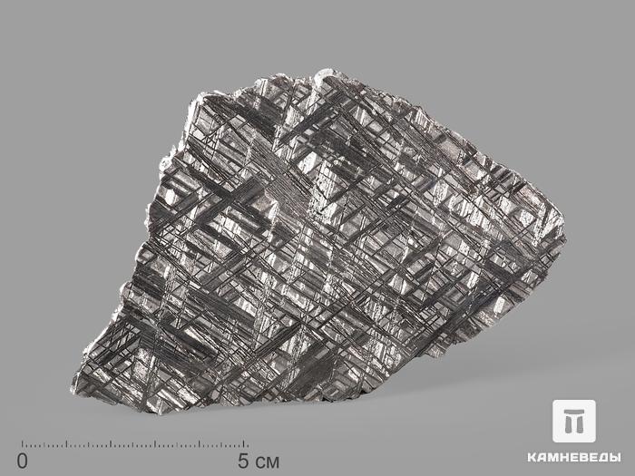 Метеорит Muonionalusta, пластина 12,9х8х0,2 см (81,9 г), 20913, фото 1