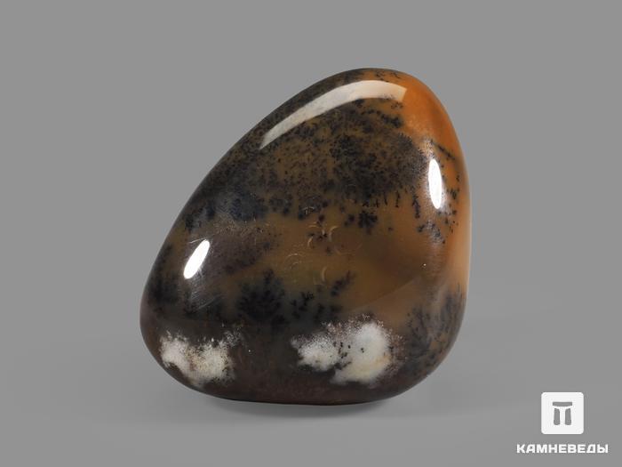 Агат дендритовый, полированная галька 6,1х4,6х3,5 см, 20941, фото 2
