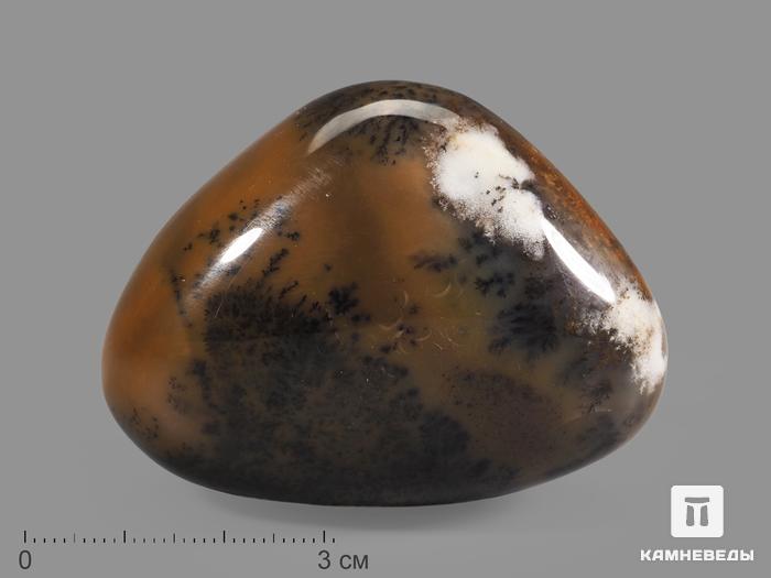 Агат дендритовый, полированная галька 6,1х4,6х3,5 см, 20941, фото 1