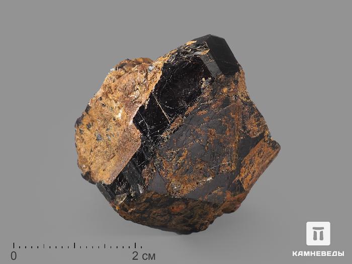Дравит (турмалин), кристалл 4,5х3,5х3,2 см, 19034, фото 1