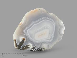 Агат серый, полированный срез 7,5х5,7х0,8 см