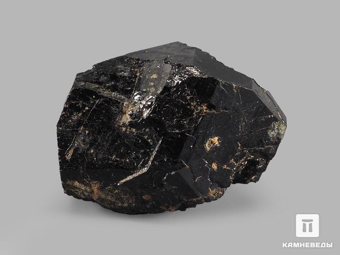 Дравит (турмалин), кристалл 3,5х2,6х2,4 см, 19033, фото 2