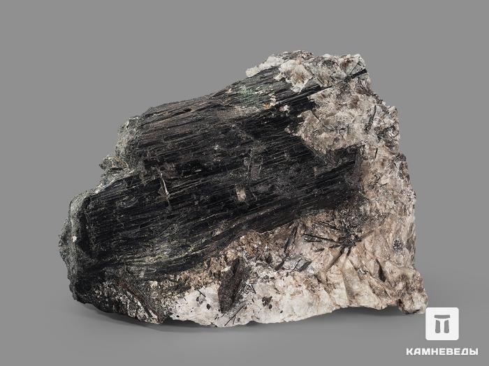 Эгирин, искаженный кристалл 8,4х7х3 см, 10-134/16, фото 2