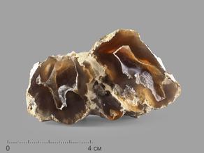 Агат сердоликовый, полированный срез 8,2х4,5х3,3 см