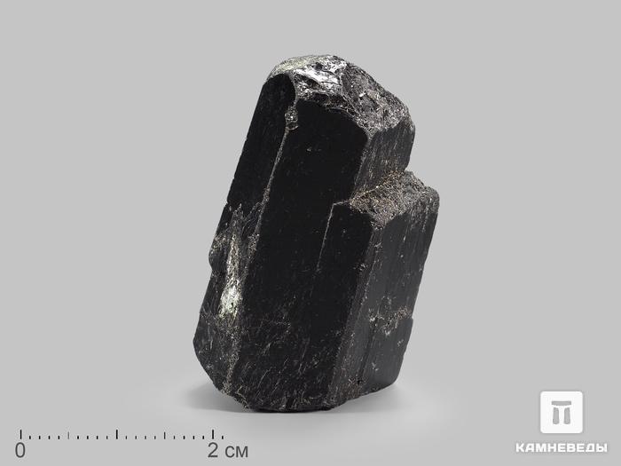 Шерл (чёрный турмалин), двухголовый кристалл 3,5-4,5 см, 10-24/30, фото 1