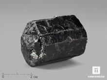 Шерл (чёрный турмалин), кристалл 3,5-4,5 см