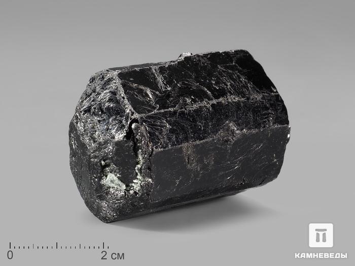 Шерл (чёрный турмалин), кристалл 3,5-4,5 см, 20801, фото 1