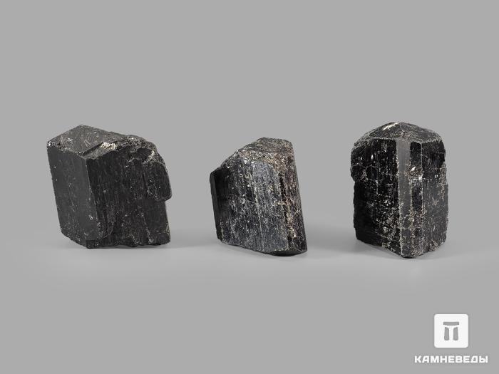 Шерл (чёрный турмалин), кристалл 3,5-4,5 см, 20801, фото 2