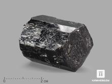 Шерл (чёрный турмалин), кристалл 3-5,5 см