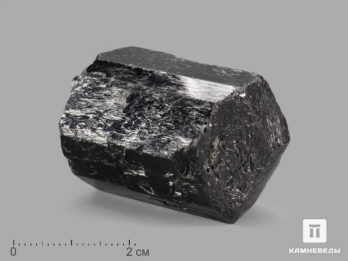 Шерл (чёрный турмалин), кристалл 3-5,5 см, 20808, фото 1