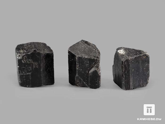 Шерл (чёрный турмалин), кристалл 3-5,5 см, 20808, фото 3
