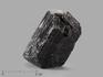 Шерл (чёрный турмалин), двухголовый кристалл 4-5 см, 10-24/31, фото 1