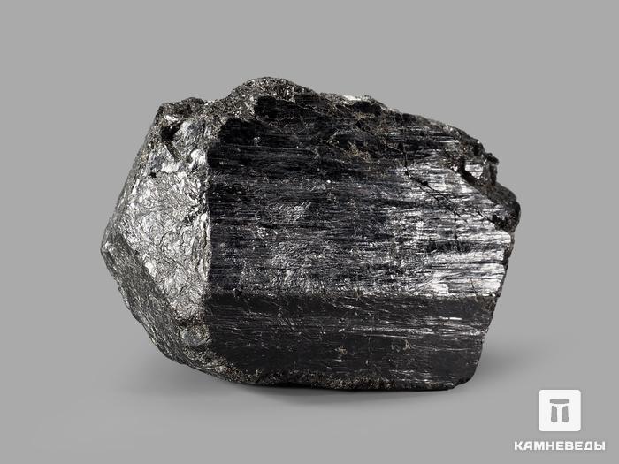 Шерл (чёрный турмалин), двухголовый кристалл 4-5 см, 10-24/31, фото 2