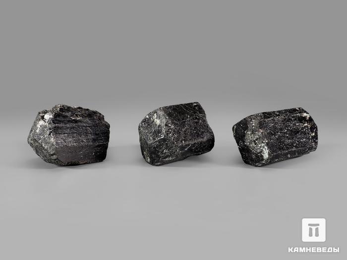 Шерл (чёрный турмалин), двухголовый кристалл 4-5 см, 10-24/31, фото 3
