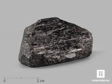 Шерл (чёрный турмалин), двухголовый кристалл 5,7х3х3 см
