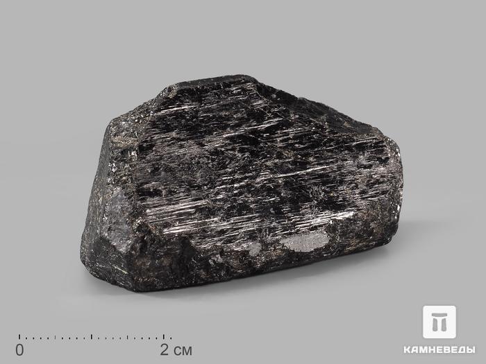 Шерл (чёрный турмалин), двухголовый кристалл 5,7х3х3 см, 10-24/9, фото 1
