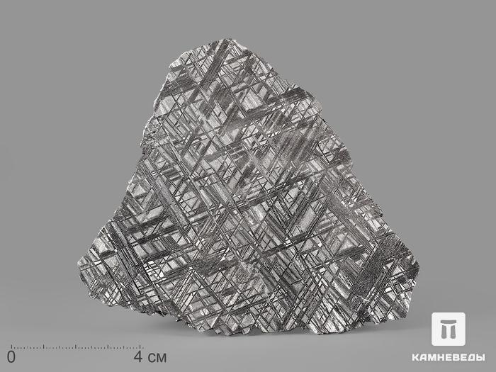Метеорит Muonionalusta, пластина 11,6х10,2х0,2 см (124,3 г), 19844, фото 1
