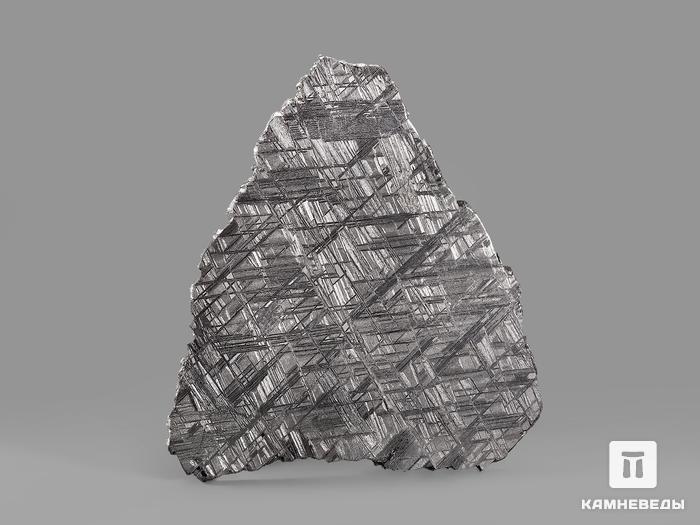 Метеорит Muonionalusta, пластина 11,6х10,2х0,2 см (124,3 г), 19844, фото 2