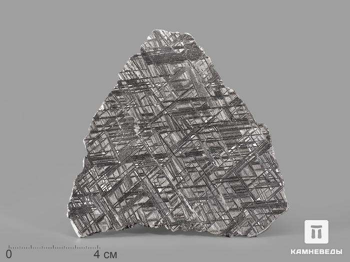 Метеорит Muonionalusta, пластина 11,8х10,3х0,2 см (117,1 г), 19843, фото 1