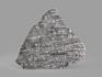 Метеорит Muonionalusta, пластина 11,8х10,3х0,2 см (117,1 г), 19843, фото 2