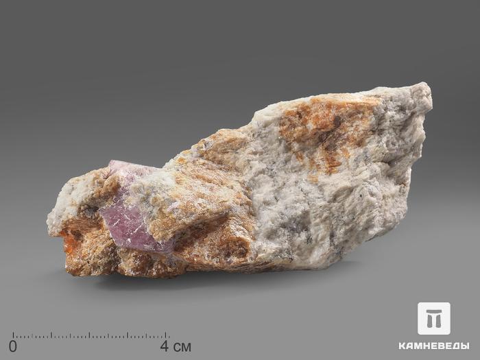 Шпинель, кристалл с клиногумитом в породе 11х5,8х4 см, 10-197/24, фото 2