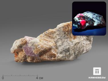 Шпинель, Клиногумит. Шпинель, кристалл с клиногумитом в породе 11х5,8х4 см