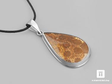 Кораллы. Кулон с окаменелым кораллом