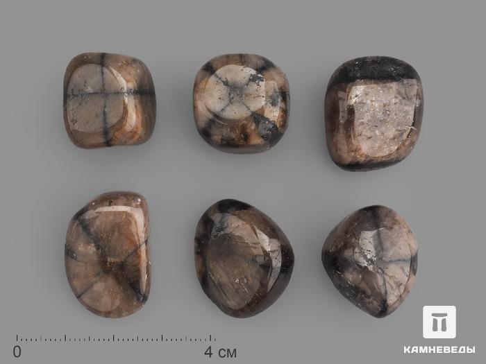 Андалузит (хиастолит), галтовка 2-2,5 см, 12-17, фото 1