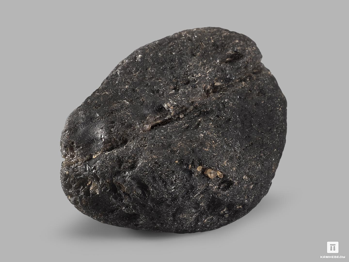 Обсидиан, 5-6 см (70-80 г), 21427, фото 2