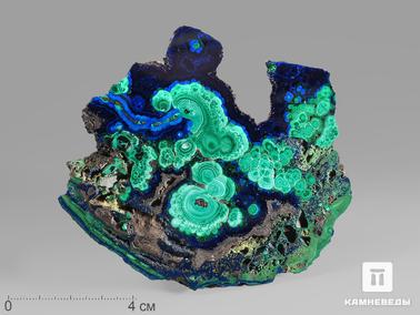 Азурит, Малахит. Азурит с малахитом, полированный срез 10х8,5х0,7 см