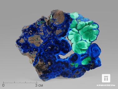 Азурит, Малахит. Азурит с малахитом, полированный срез 9х7х0,7 см