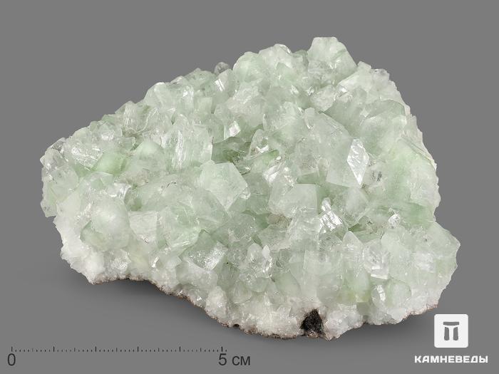Апофиллит, друза 11,5х11х3,5 см, 21587, фото 1