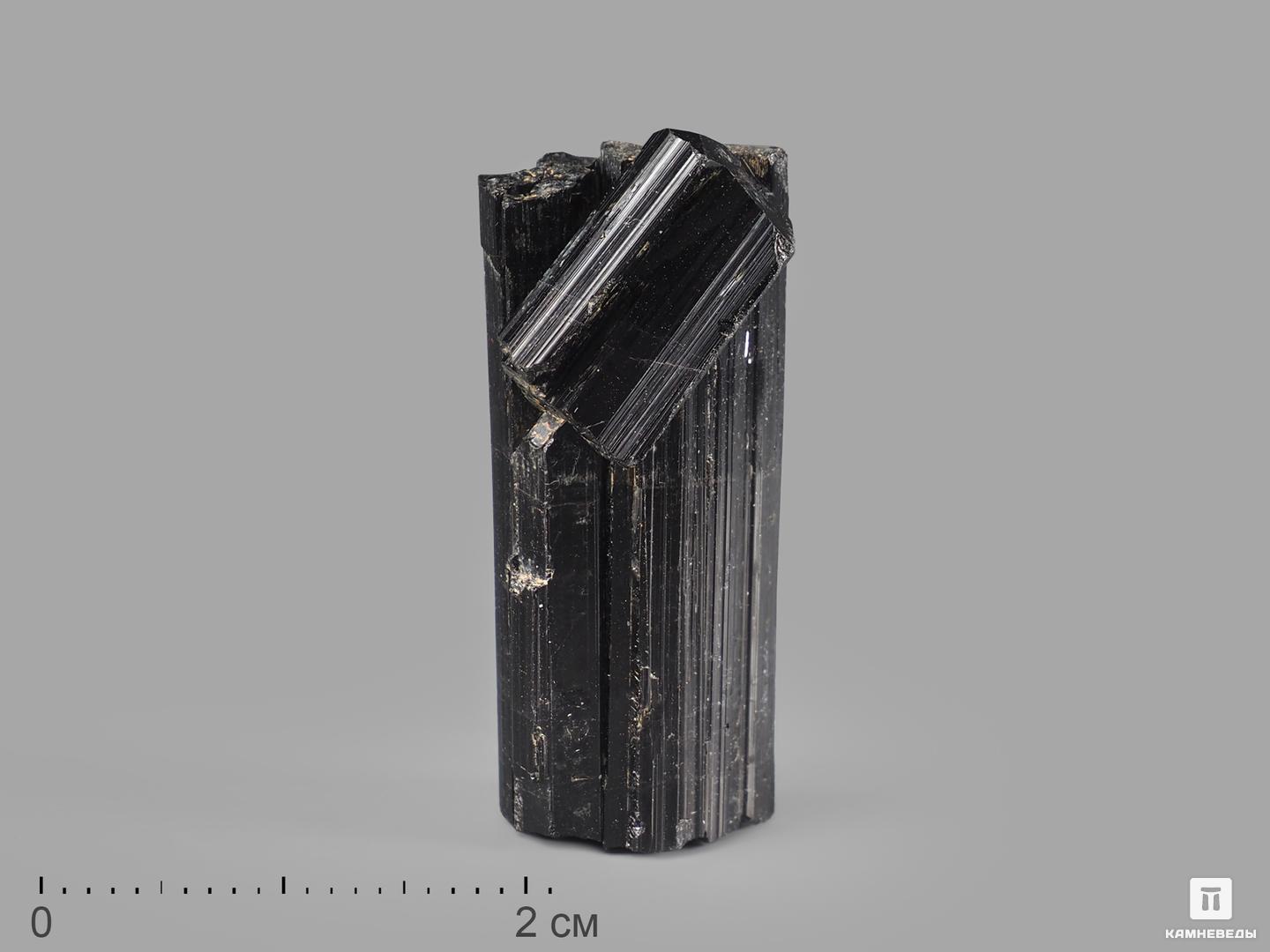 Шерл (чёрный турмалин), кристалл 3,5х1,5х1,2 см, 21641, фото 1