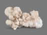 Арагонит белый, 5х3х2,8 см, 19121, фото 2
